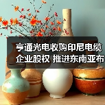 亨通光電收購印尼電纜企業(yè)股權(quán) 推進(jìn)東南亞布局(圖2) 亨通光電收購印尼電纜企業(yè)股權(quán) 推進(jìn)東南亞布局(圖2)