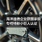 海洋通信企業(yè)獲國家級專精特新小巨人認(rèn)證（圖3）