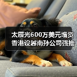 太辰光600萬(wàn)美元增資香港設(shè)越南孫公司強(qiáng)推國(guó)際化（圖1）