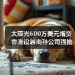 太辰光600萬(wàn)美元增資香港設(shè)越南孫公司強(qiáng)推國(guó)際化（圖4）